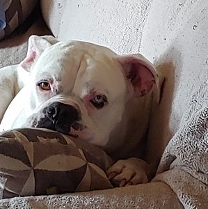 Meet your Posher, Diane